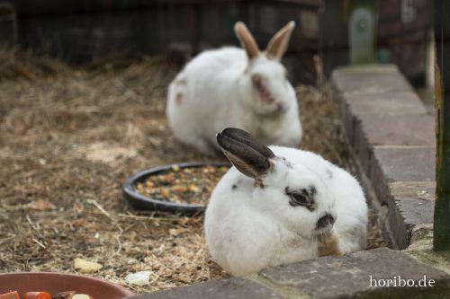 HR-18-05-01-15-51-56-9301