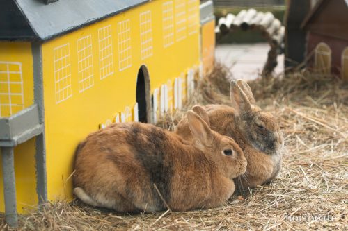 HR-18-05-01-15-52-07-9304