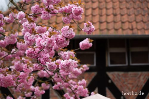 HR-18-05-01-16-01-44-9315