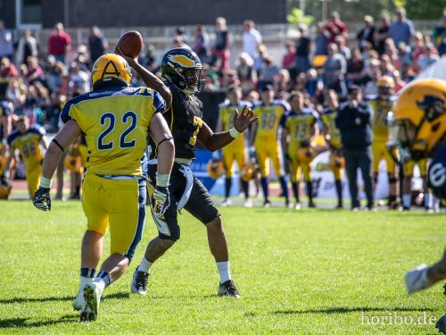 HR-18-05-05-16-17-31-0102