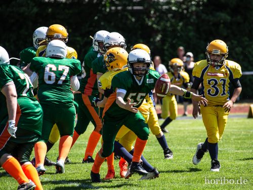 HR-18-05-26-12-14-41-2001