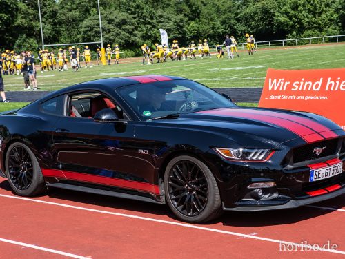 HR-18-05-27-14-20-07-2699