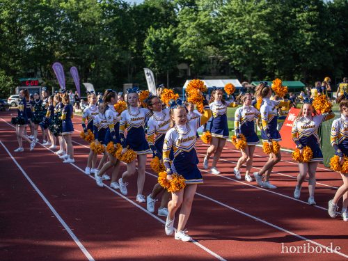 HR-18-05-27-17-47-16-3729