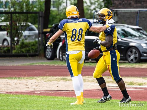 HR-18-06-16-15-19-50-4111