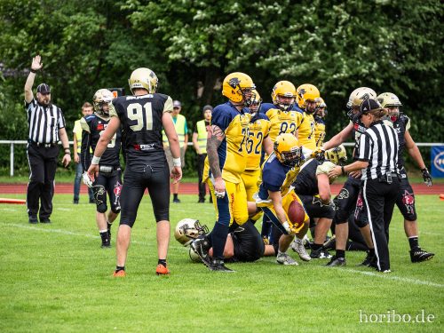 HR-18-06-16-17-16-30-4511