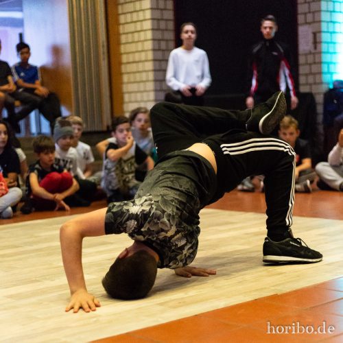 HR-18-06-30-16-56-13-5205