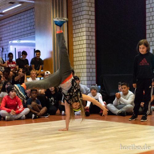 HR-18-06-30-17-25-09-5339