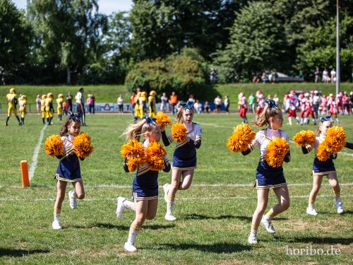 HR-18-07-08-11-00-50-6915