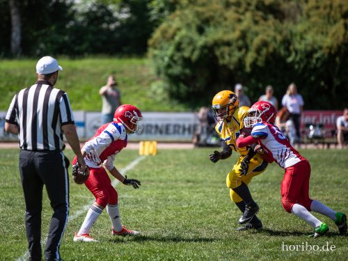 HR-18-07-08-11-19-51-6979