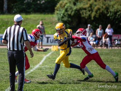 HR-18-07-08-11-19-51-6980