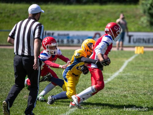 HR-18-07-08-11-19-52-6985