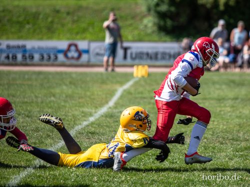 HR-18-07-08-11-19-52-6987