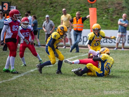 HR-18-07-08-12-14-01-7082