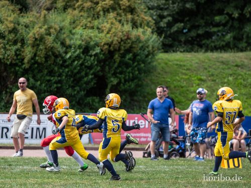 HR-18-07-08-12-19-07-7110