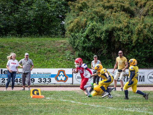 HR-18-07-08-12-19-07-7113