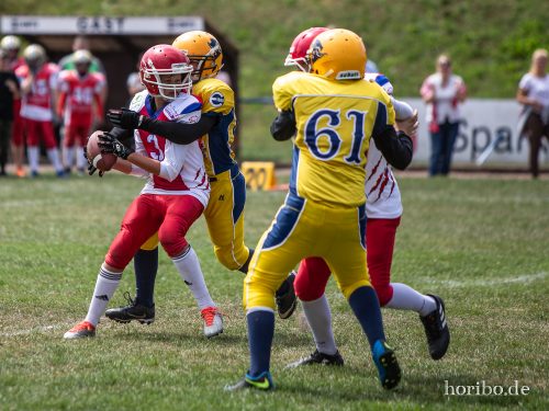 HR-18-07-08-12-24-13-7123