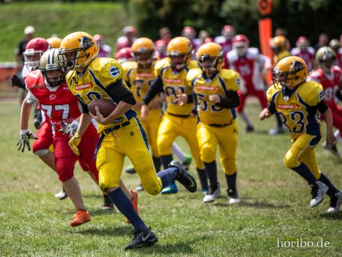 HR-18-07-08-12-25-32-7132