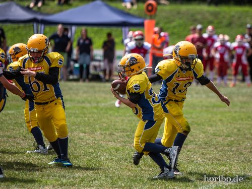 HR-18-07-08-12-26-11-7145