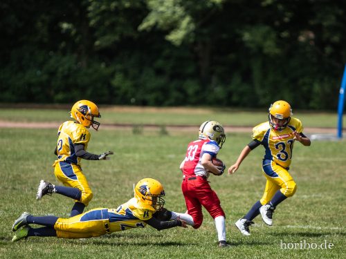 HR-18-07-08-12-36-47-7225