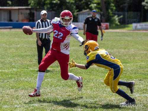 HR-18-07-08-12-38-47-7237