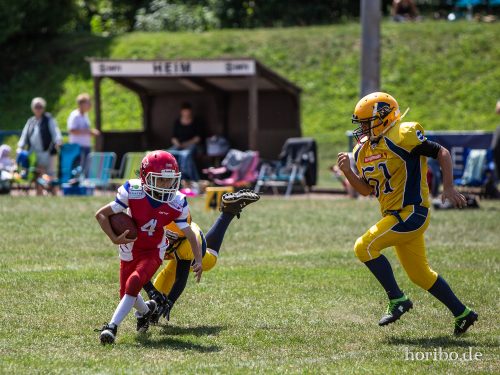 HR-18-07-08-12-43-35-7271