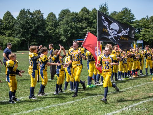 HR-18-07-08-12-50-20-7332