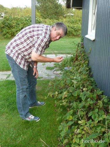 HR-18-08-22-19-20-57-1030954