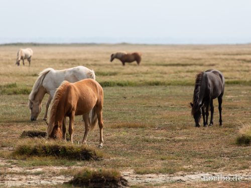 HR-18-08-23-12-08-16-8402