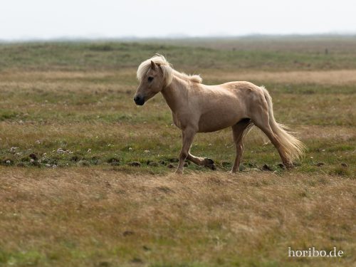 HR-18-08-23-12-08-36-8406