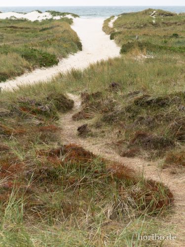 HR-18-08-23-12-33-47-8428