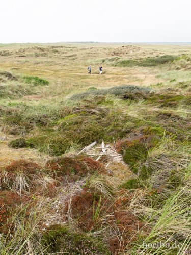 HR-18-08-23-12-34-27-8430