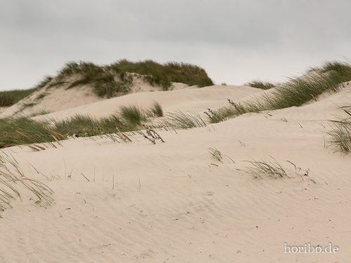 HR-18-08-23-12-39-02-8433