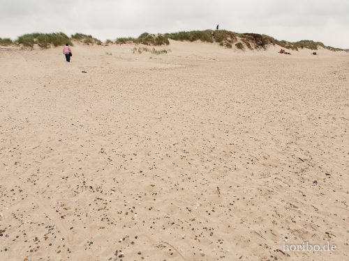 HR-18-08-23-12-42-44-8437