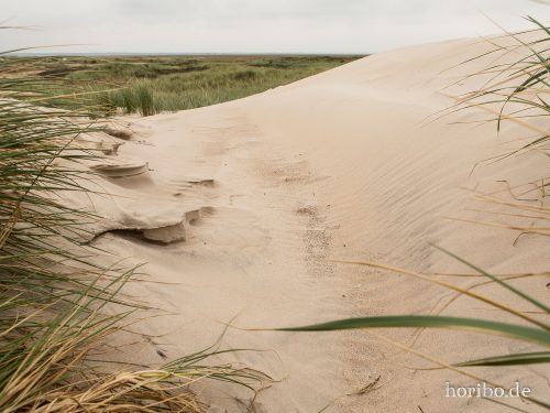 HR-18-08-23-12-44-54-8444