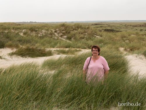 HR-18-08-23-12-46-50-8447