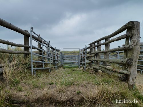 HR-18-08-23-13-06-13-1030961