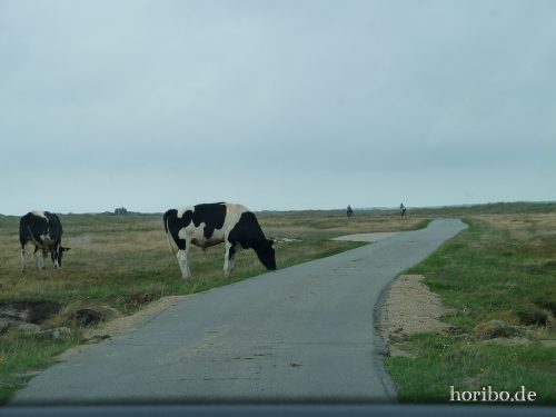 HR-18-08-23-13-10-39-1030966