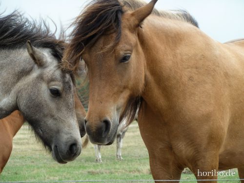 HR-18-08-23-13-19-44-1030969