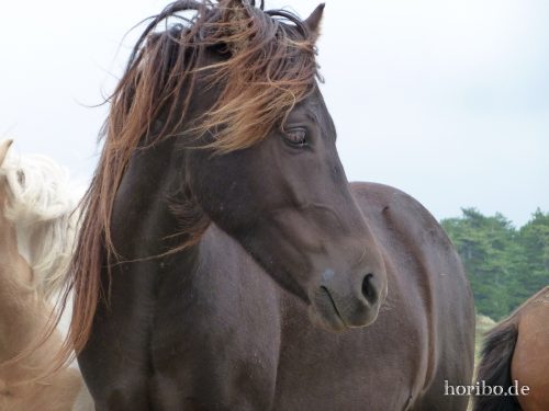 HR-18-08-23-13-20-25-1030972