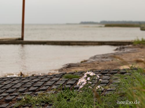 HR-18-08-23-13-58-39-8451