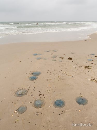 HR-18-08-23-14-46-19-8485