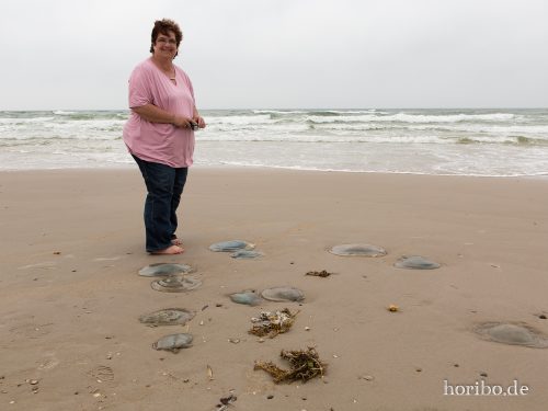 HR-18-08-23-14-47-28-8490