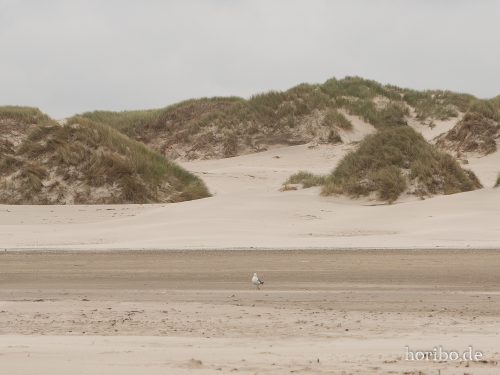 HR-18-08-23-14-47-38-8491