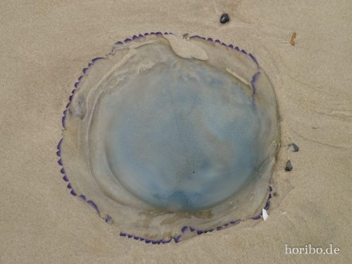 HR-18-08-23-14-56-04-1030982