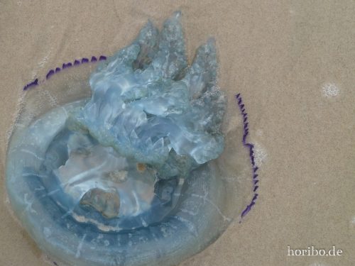 HR-18-08-23-15-01-56-1030987