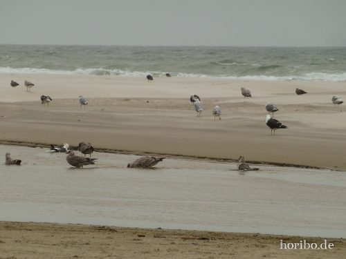 HR-18-08-23-15-07-57-1030993