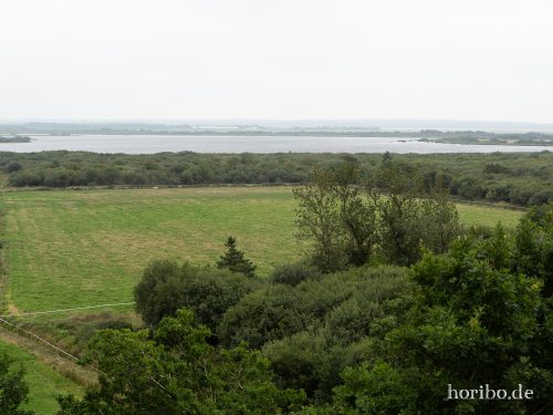 HR-18-08-23-17-46-12-8531