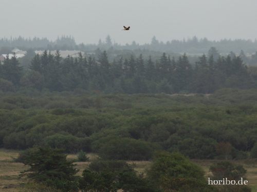 HR-18-08-23-17-47-34-8533