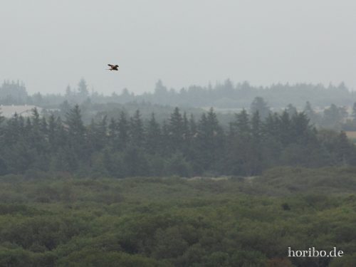 HR-18-08-23-17-47-37-8534