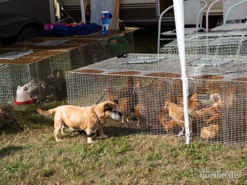 HR-18-08-24-16-46-10-8550